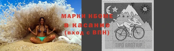 стафф Надым