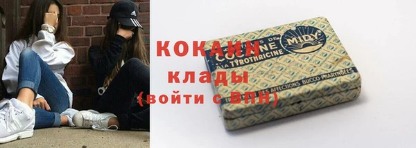 стафф Надым