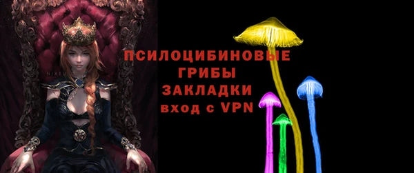 стафф Надым