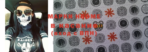 стафф Надым