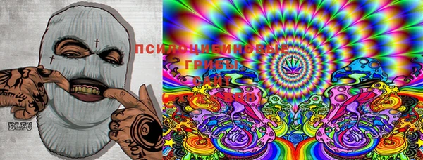 стафф Надым