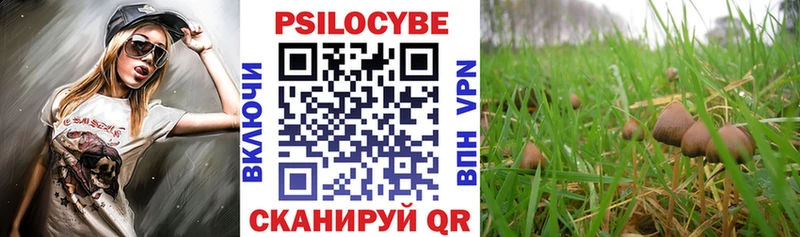 Галлюциногенные грибы прущие грибы Туапсе