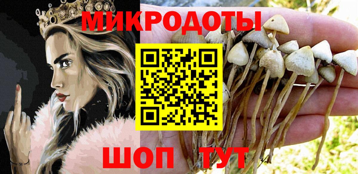 Туапсе  Псилоцибиновые грибы мицелий  Псилоцибиновые грибы Psilocybine cubensis  Вход с VPN 