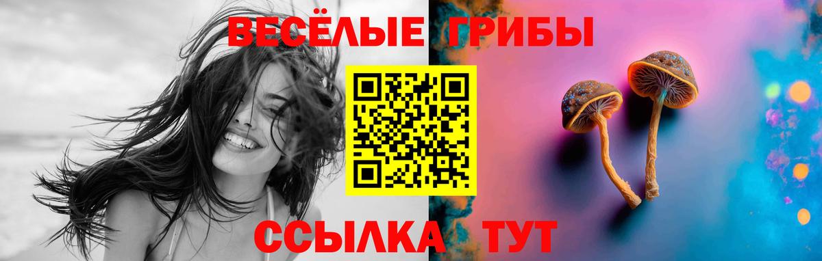 Псилоцибиновые грибы Cubensis Туапсе